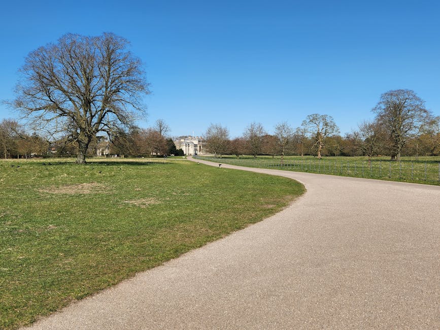 A wide, paved pathway winds through an open, grassy area with several large, leafless trees on either side, leading towards a historic building in the distance. The sky is clear and blue, with no clouds visible. In the foreground, the gravelly surface of the pathway and the green grass with patches of bare earth are clearly visible. Alongside the path, there is a low metal fence separating the walking route from the open parkland. The scene is well-lit with natural daylight, highlighting the expansive park setting, which is part of the Osterley Park Estate. The environment is calm and well-maintained, suitable for outdoor activities or leisurely strolls, with no vehicles or people present in the immediate view. This serene landscape, captured as part of a home relocation project by Man with Van Osterley, emphasizes the natural environment surrounding the estate and hints at the logistics involved in moving services within such historic surroundings.